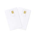 Carte SIMs pour GPS eSEEK