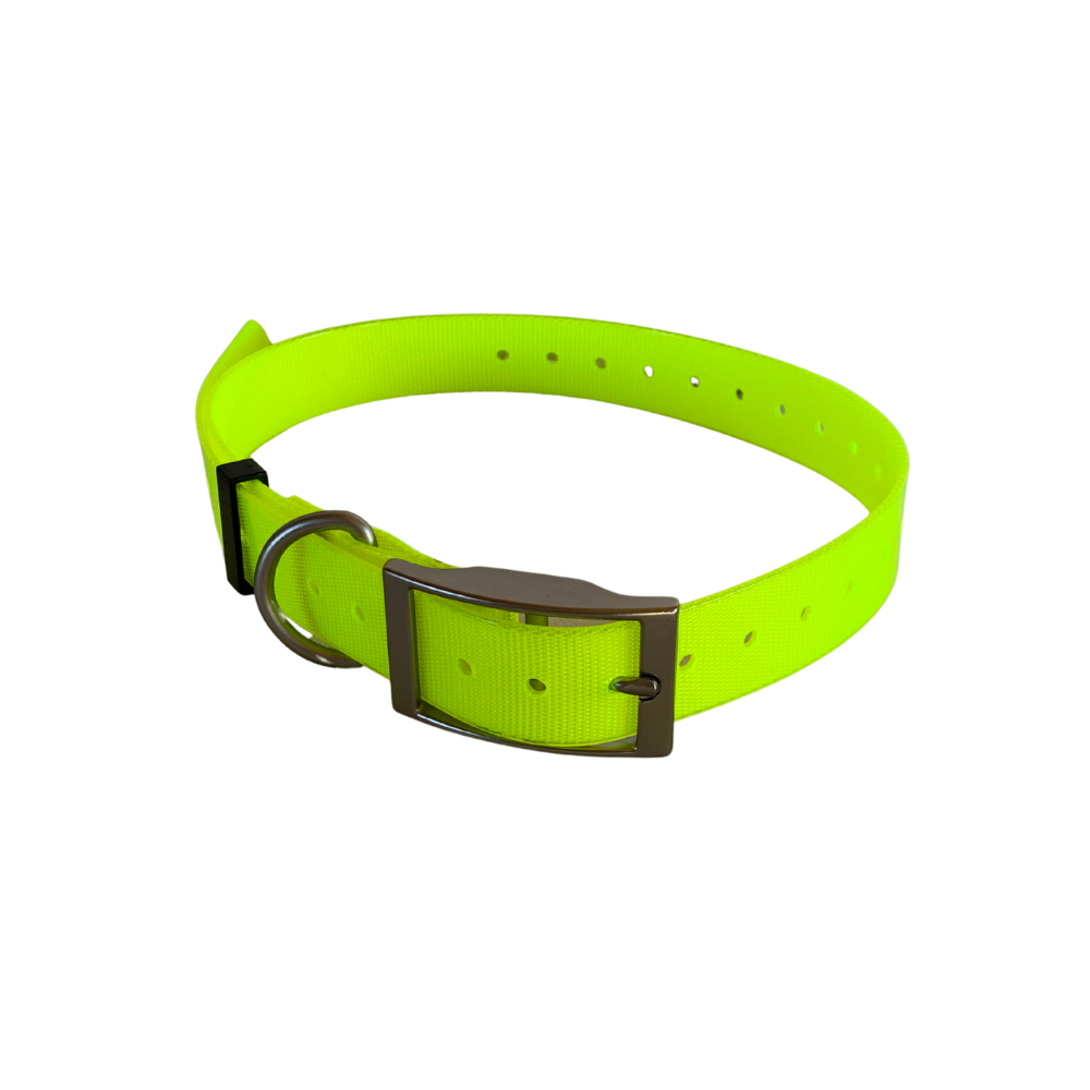 Sangle de collier eSEEK pour chien - Jaune