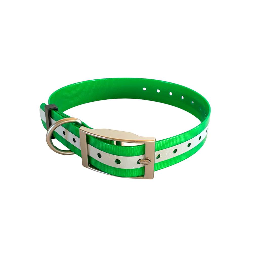 Sangle de collier réfléchissante eSEEK pour chiens - Verte