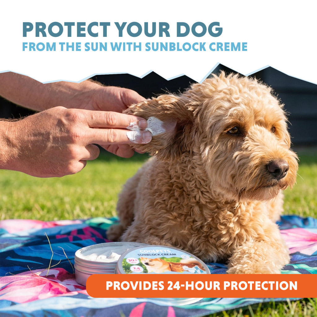 Crème solaire pour chien et animaux CoolPets SPF 30+