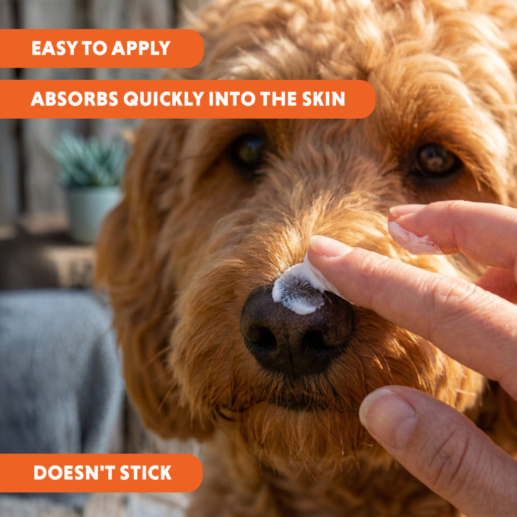 Crème solaire pour chien et animaux CoolPets SPF 30+