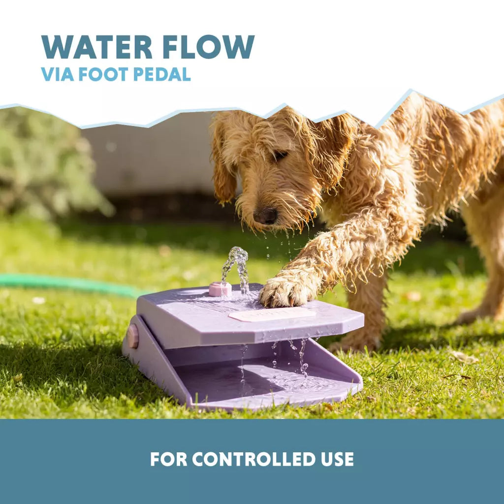 Fontaine à eau pour chien CoolPets Splash Water Fountain