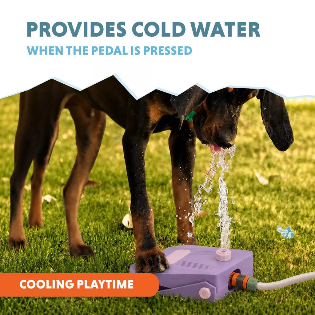 Fontaine à eau pour chien CoolPets Splash Water Fountain