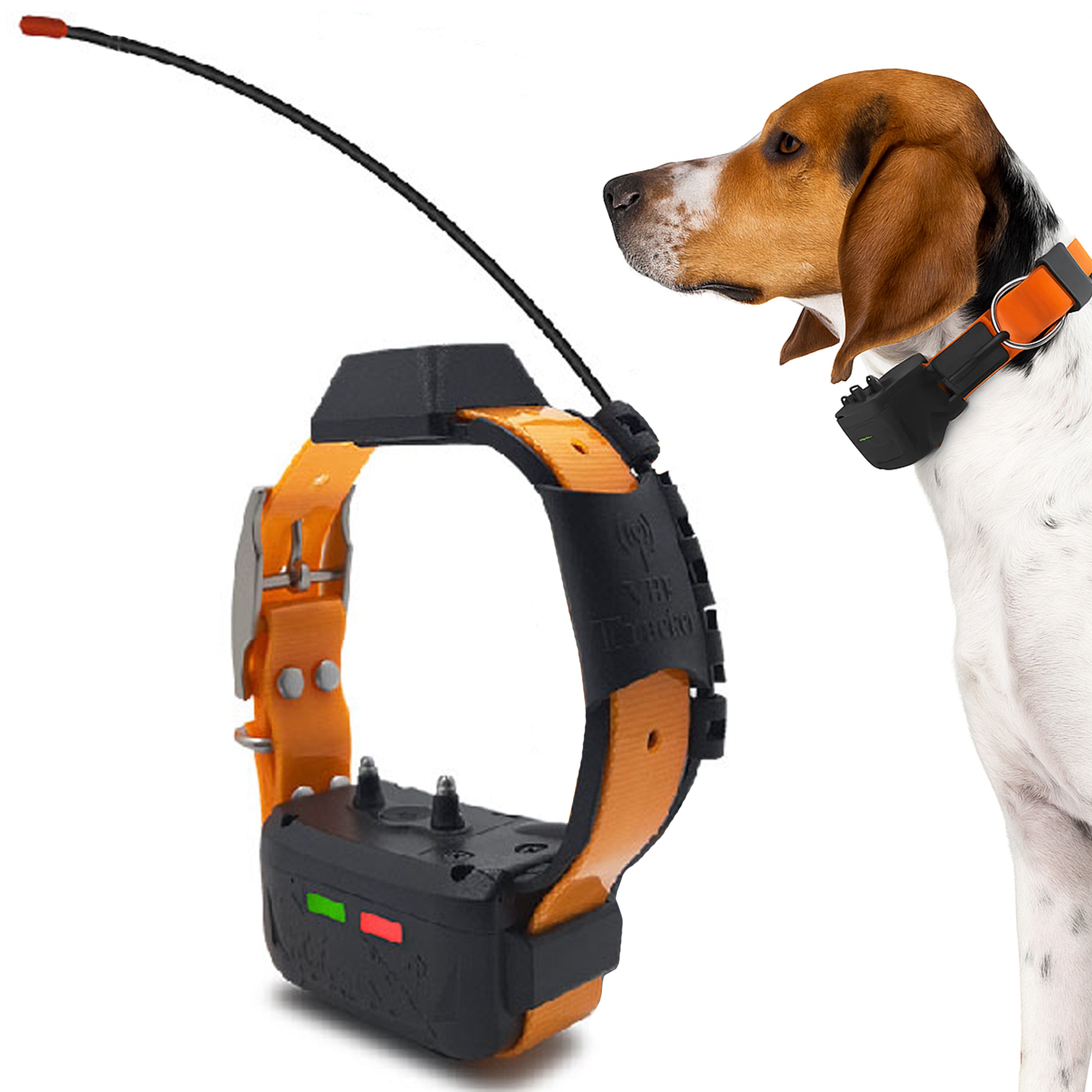 Collier GPS supplémentaire pour chien – eSEEK