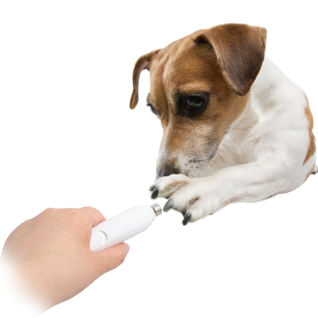 Ponceuse à ongles électrique pour chien et chat AFP