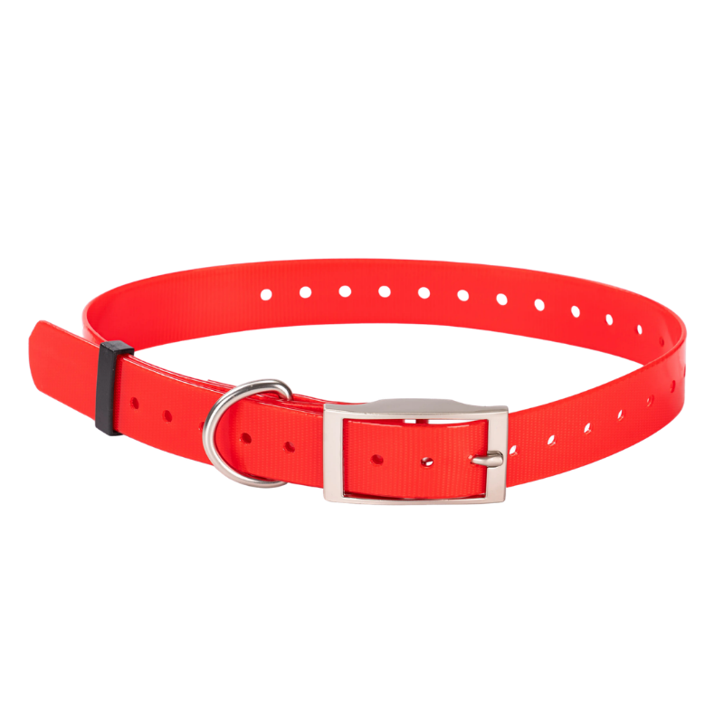Sangle de collier pour chien étanche - Rouge