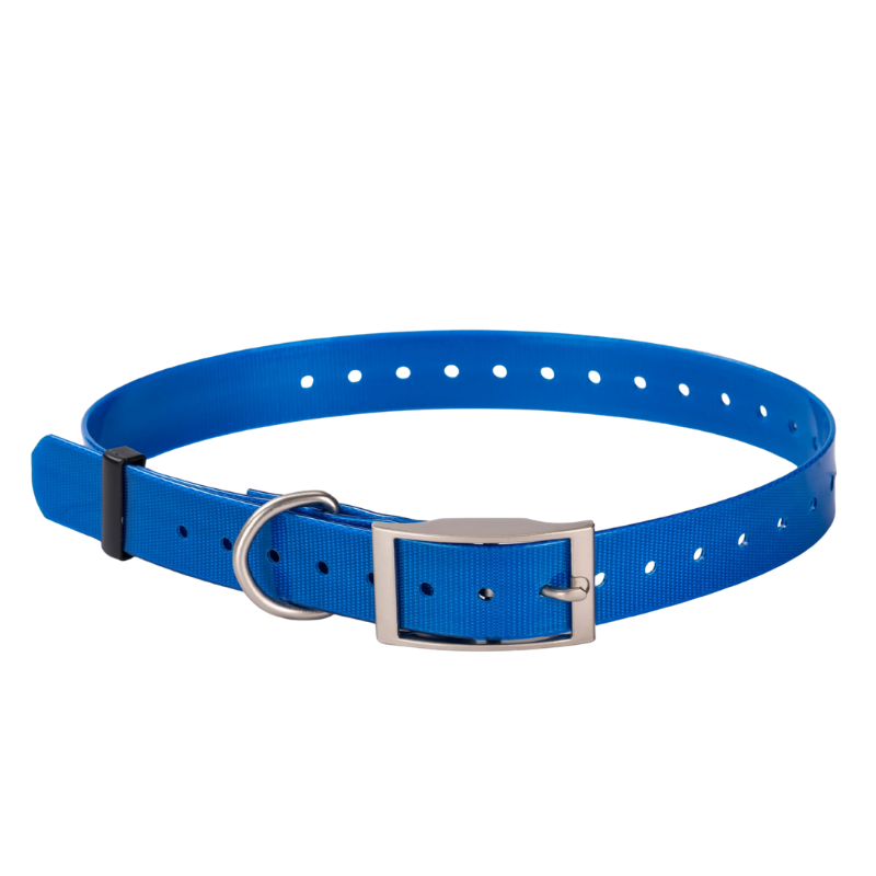 Sangle de collier pour chien étanche - Bleu