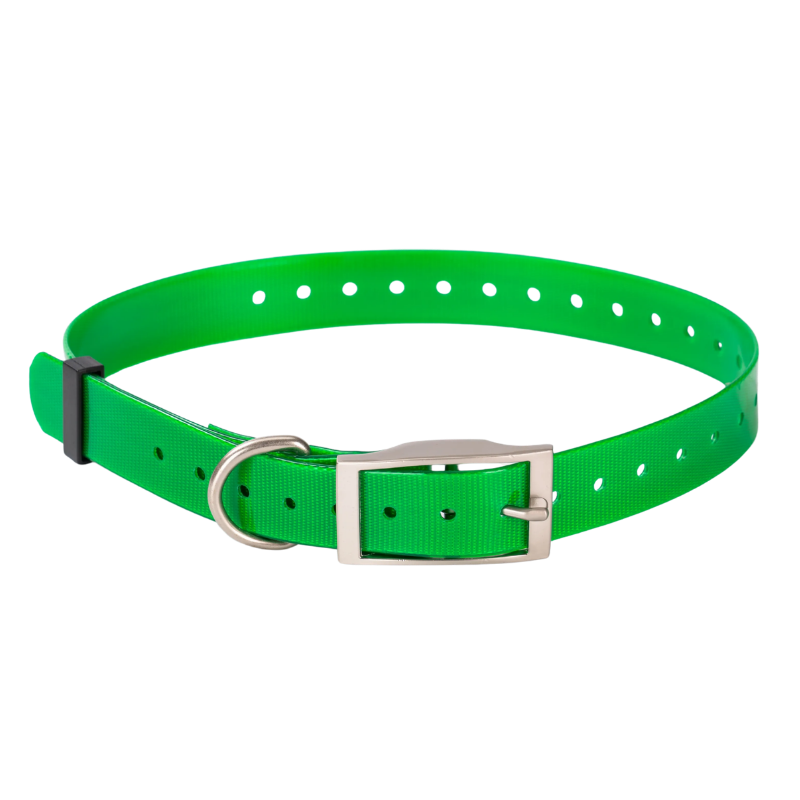 Sangle de collier pour chien étanche - Verte