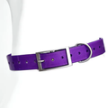 Sangle de collier pour chien étanche - Violet