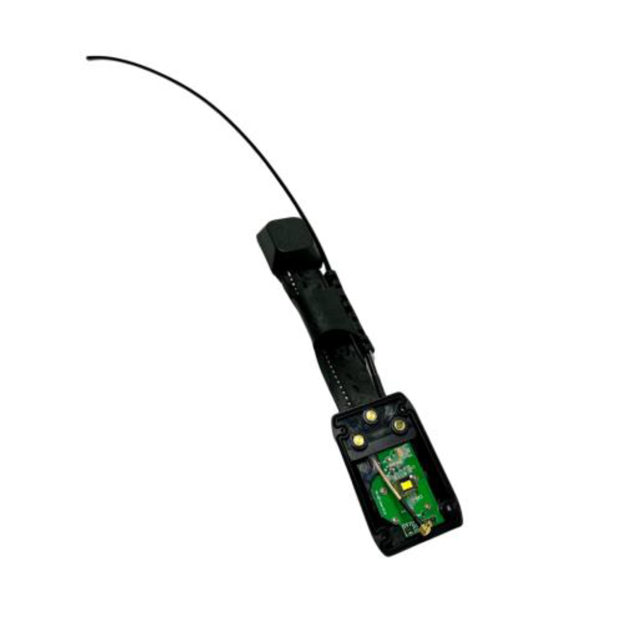Antenne pour collier GPS eSEEK avec support de maintien